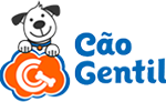 Camada 12